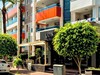 Lonicera City Kleopatra - obrázek č. 3